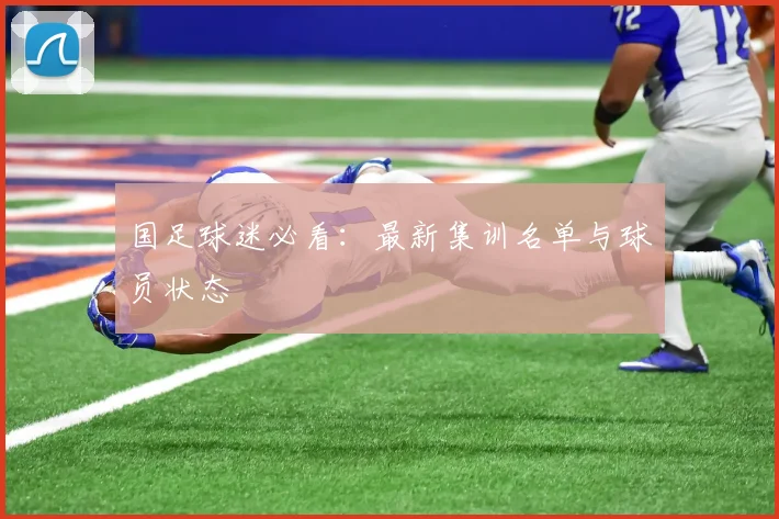 国足球迷必看:最新集训名单与球员状态