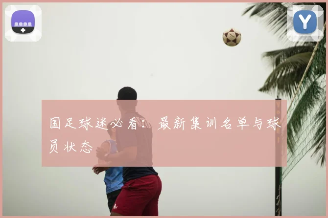 国足球迷必看:最新集训名单与球员状态